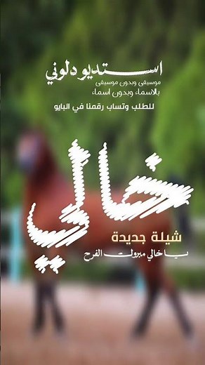 شيلات عريس ll يا خالي مبروك الفرح ll شيلات زواج عن خالي عريس