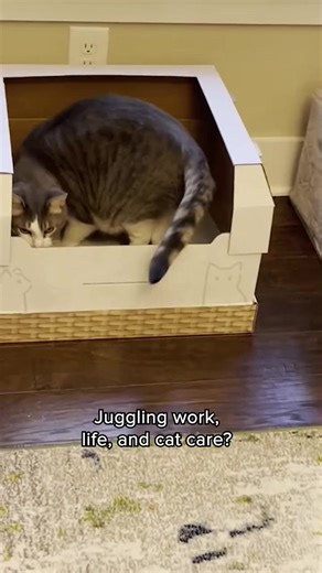 Say goodbye to stinky litter boxes and hello to a fresh and clean home. Kitty Poo Club's revolutionary litter box system makes it easy to keep your home odor-free and your kitty happy. 🐈 No more cleaning - our disposable litter boxes make it easy to keep your home stink-free. 🌿 Eco-friendly and sustainable - our boxes are made from recycled cardboard and can be recycled again. 🙀 Variety of natural litter options - keep your kitty happy and healthy. | Kitty Poo Club