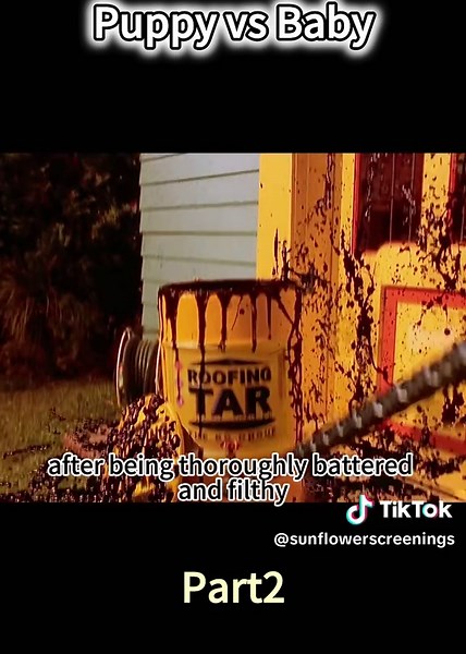 Oscar Awards 2024: Movie Commentary and Predictions