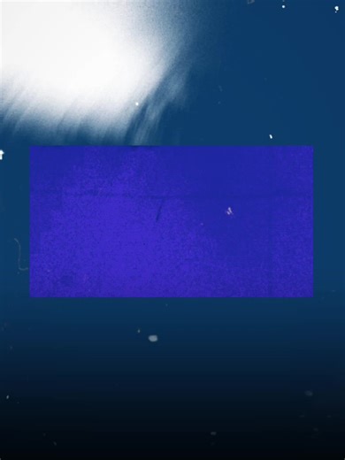 Primera Opción: Letra y Contexto en el Amor