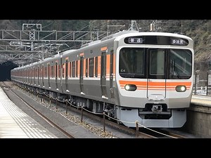 315 series train, New type of JR Central (2022)