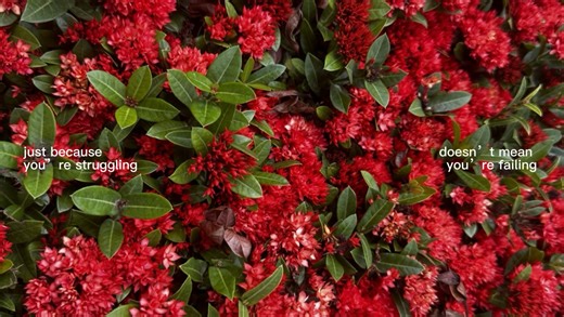 STRUGGLES Wont define us. It’s just a chapter.