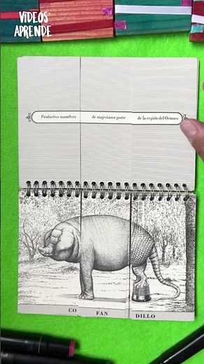 Professor Revot's Universal Animaliary - Learn Videos #recommendedbooks #books