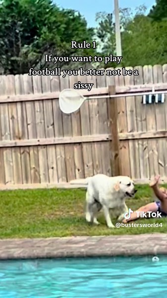 Buster's Backyard Rules for Playful Dogs