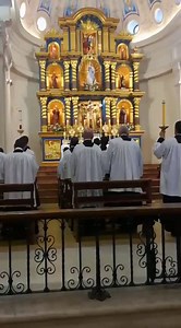 4.3K views · 491 reactions | A video from Our Lady Co-Redemptrix...