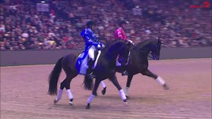 Heute ab 14:00 Uhr übertragen wir die Hengstschau - Åbent Hus m. hingstefremvisning - vom Gestüt Blue Hors!🎥 Bereits bei der Gala-Show in Herning brachten die Hengste des Gestüts die Zuschauer zum staunen!🤩 ▶️watch.clipmyhorse.tv/HengstschauBlueHorsStud | ClipMyHorse.TV Deutschland