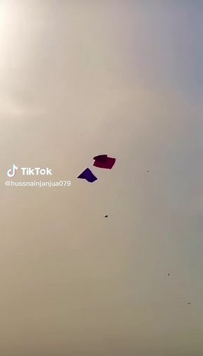 Colorful Kites Flying in a Clear Sky