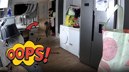 Daughter's well-timed kitchen camera alarm prank gives mum a jump scare
