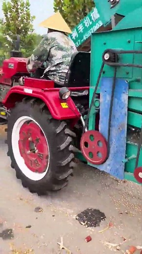 Corn threshing process with a large drum thresher