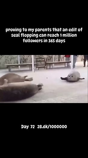 Flopping seal | not even gonna put hashtags, see how this goes Get your seal plushies now with code SEALFLOP to get 20% off!! link in bio 🦭🦭🦭 | Instagram