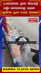ಒಂದುಚೂರು ಪ್ರೀತಿ ತೋರಿದ್ರೆ ಎಷ್ಟೇ ದೂರವಾದ್ರೂ ಮೂಕಪ್ರಾಣಿಗಳ ಪ್ರೀತಿ ಎಂದು ಮಾಸದು! Welcome to Namma Vijaya News, a distinguished media outlet broadcasting in Karnataka. Renowned for our unwavering commitment to high standards, ethics, and quality content, we provide a diverse range of coverage across various domains. Stay tuned to Namma Vijaya News for: Exclusive Updates: Get real-time access to breaking local, regional, national, and international news as it unfolds. • Hyper-Local Focus: Our comprehensive