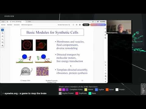 Build-a-Cell -- The Modular Route to Synthetic Cells