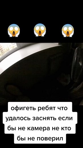 Captivating Views from My Window: Neighbors in Sight