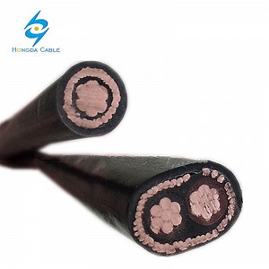[Hot Item] AWG Size Service Entrance Cable Ser Seu Copper Conductor 2 Core Concentric Cable
