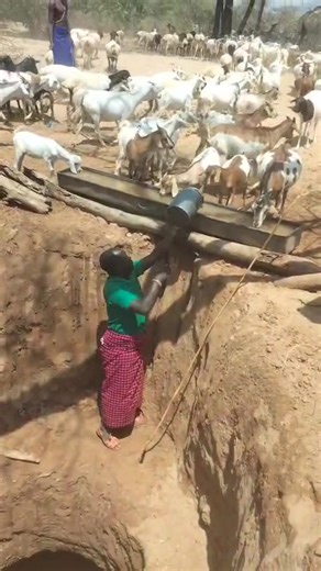 Samburu herder | Sam Didane