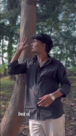 Best Talcum Powder for Daily Freshness & Silky Skin | Nimson Soft Touch Review