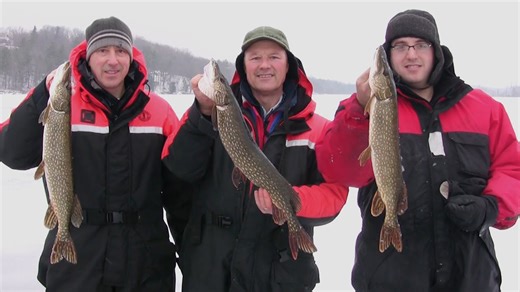 Half-dozen pike through the ice - Ice fishing tips using shiners and tip-ups