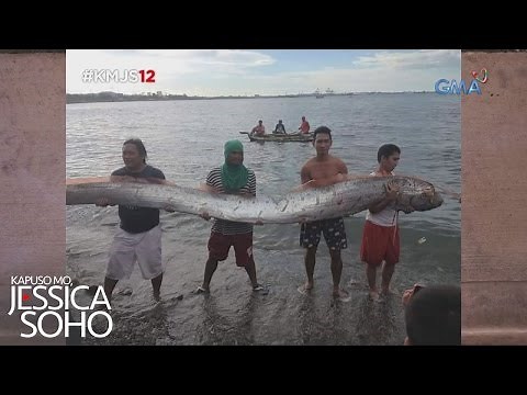 Kapuso Mo, Jessica Soho: Signos?