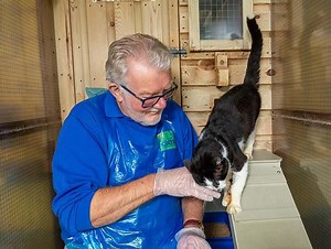 Join us as a branch volunteer | Support us | Cats Protection