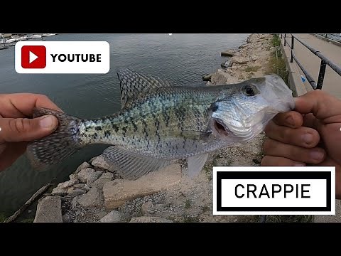 Crappie heaven in Nebraska