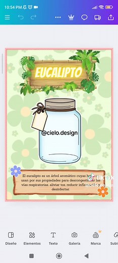 Plantilla de Herbario para Proyecto Escolar 🌿