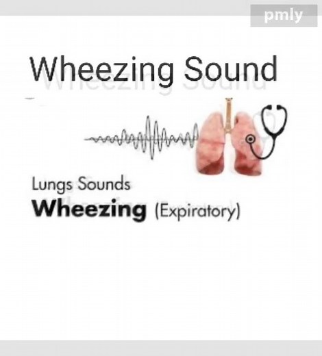 Respiratory sounds Audios (Vesicular, Bronchial, Wheezing, Crackles).