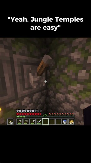 Mojang gotta fix this bug honestly #minecraft