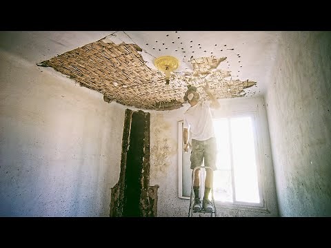 Du canisse au plafond ?