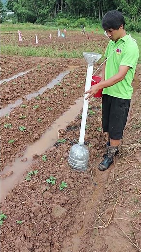 Effectiveness test of the homemade fertilizer applicator! #FarmersWisdom