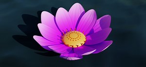 How to make lotus flower animation in very easy way