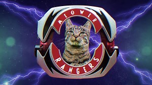 Five felines with cattitude unite to save the world! 😸⚡️ #MeowerRangers... meowing soon! | Power Rangers