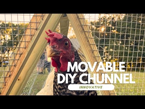 DIY Chicken Tunnel: Step-by-Step Guide to Building a Movable Chunnel