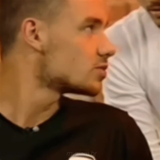 Amo Esse Olhar: Liam Payne e Zayn Malik