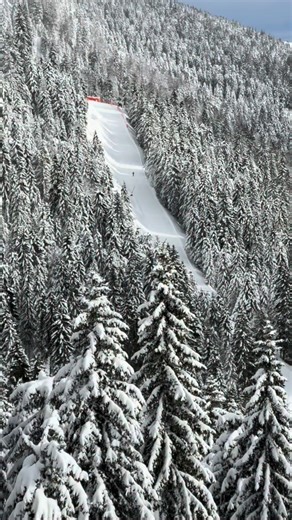 InfoKOP on Instagram: "📣 Od danas su u funkciji ski liftovi Gobelja i Jaram, pokretna traka Jaram i Gobelja četvorosed, kao i pripadajuće staze 11, 12,12a i 13a. #Kopaonik 13.01.2026 🚠 Žičare: 20/24 (83.3%) ⛷️ Staze: 29/49 (59.2%) 🚏 Putevi: 21/30 (70%) 🌖 Noćne: 1/3 (33.3%) 🟰 Prohodno: 35.9/58.5km (61.4%) ⏳ Radno vreme: 09:00-16:00h ❄️ Sneg: 36 cm 🎿 Staze: 20-40 cm 🌡️ Temp: -2,2°C 💦 Vlažnost: 100% 💨 Brzina vetra: 2,5 m/s (SW) 💨 Udari vetra: 4.4 m/s (SW)"