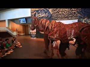 Meet Joey the War Horse puppet