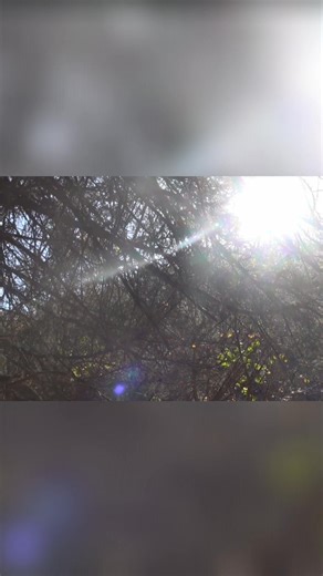 The Carroll County Sheriff's Office is partnering with Texas-based Othram to see if its advanced DNA testing capabilities can identify remains dubbed "Inspiration Doe." Read more here: https://www.5newsonline.com/article/news/local/arkansas-ag-dna-company-identify-human-remains-inspiration-doe/527-44dee24f-2c7d-43da-83f6-572102b55aa5 | 5NEWS