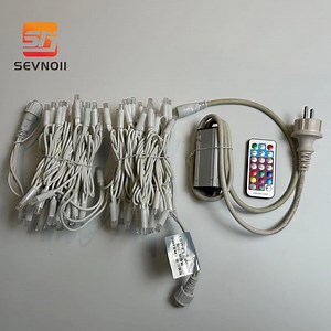 [Hot Item] Customizable Transparent Rubber Wire IP65 Point Control Light String Decorative String Light Festival String Light