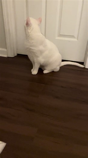 He really wanted to come in