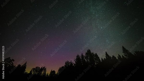 Northern lights and starry sky, night time lapse. Night landscape with forest and sky.