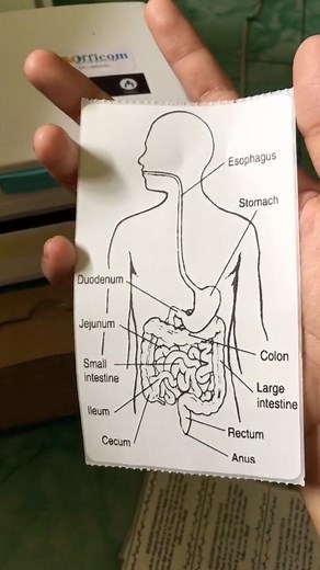 Thermal Waybill PrinterDito mo lang mabibili ⬇️⬇️Lazada: https://s.lazada.com.ph/s.ijUMu?cc Shopee: https://shope.ee/4fUXXM6l3w #thermalprinter #fyp #musthave #shopeefinds #LazadaFinds #budolfinds | AddtoCart PH | Facebook