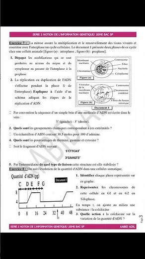 Exercice svt génétique 2bac svt et pc 💖