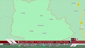 OMN IRRAA ODUU HAR'AA (Hagayya/15/2023) | Oromia Media Oromo