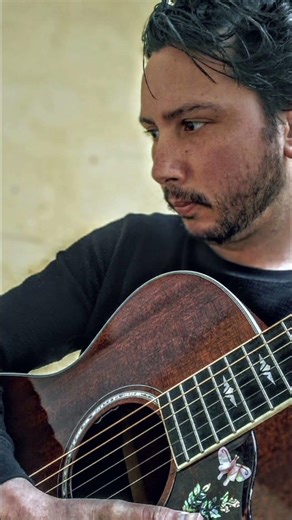 fields of gold/ fingerstyle guitare