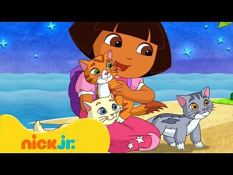 Dora poznaje świat | Dora śpiewa ze słodkimi zwierzątkami! | Nick Jr. Polska