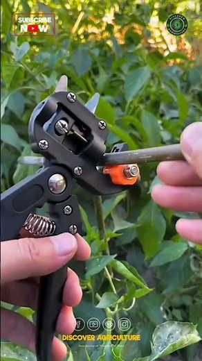 The Ultimate Plant Grafting Tool: A Game-Changer
