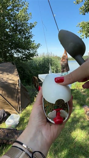 Karpfenköder #karpfen #carpfishing #angeln #fishing