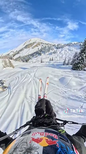 Speed Riding: The Thrill of Skiing and Flying