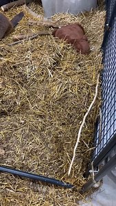 11K views · 66 reactions | I was late coming home last night and...