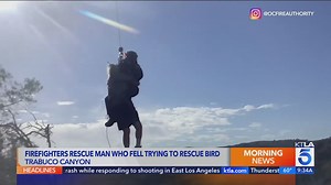 Man falls off cliff trying to rescue bird