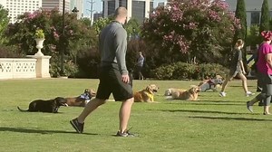 4.7K views · 15 reactions | Training your dog should be a bonding experience, not a chore. www.keendogtraining.com | KeenDog | Facebook